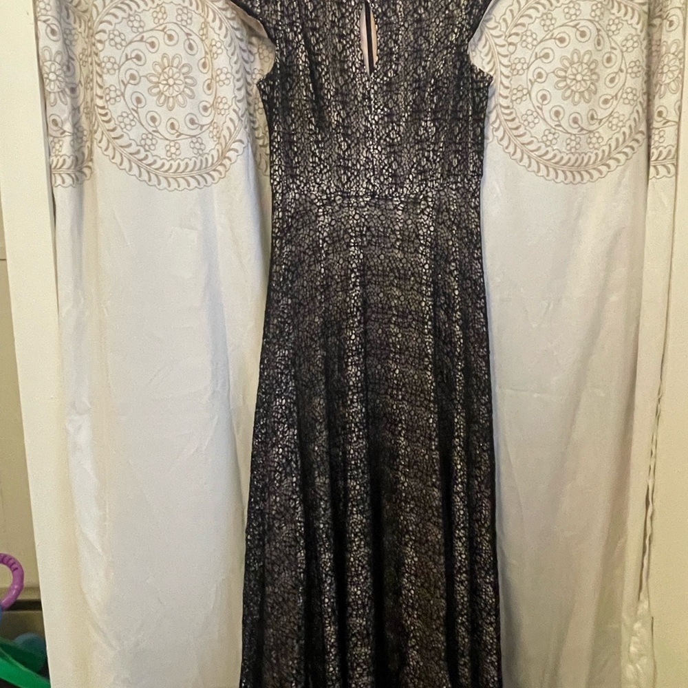 Alex Evenings Black and Silver Lace Maxi Dress